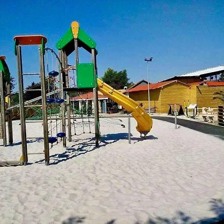 Soleil Detente Dans Les Landes